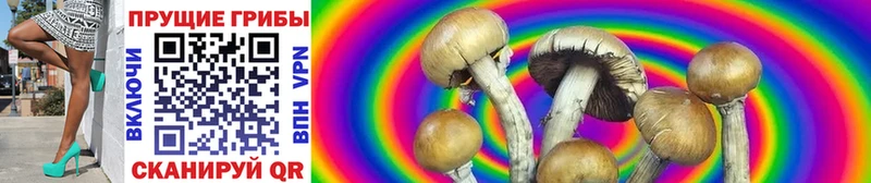 Галлюциногенные грибы Psilocybine cubensis  купить  сайты  Беломорск 